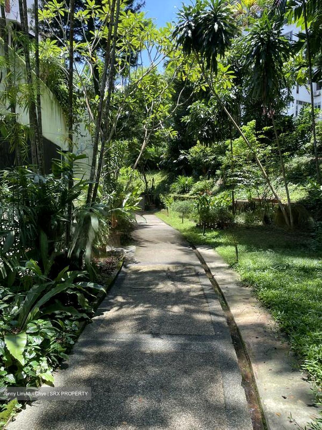 Clementi Park (D21), Condominium #484516881